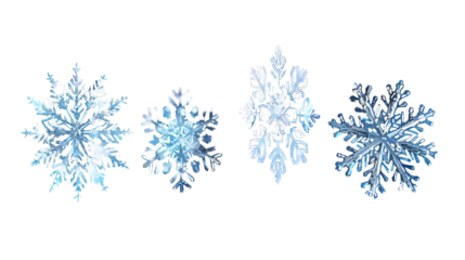 Collection of various snowflakes in different shapes and sizes. Isolated on a transparent background.