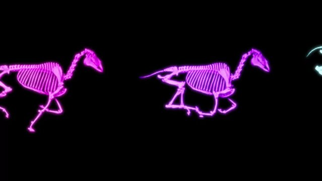The animated skeleton hound of the Baskervilles