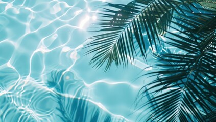 Palm Leaf Over Sparkling Blue Water