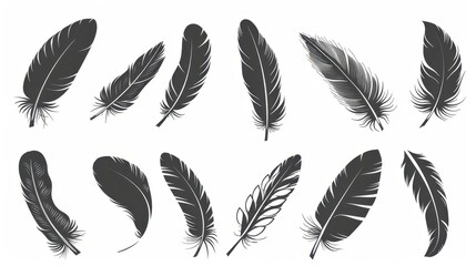 black feather silhouette icons set isolated on white bird wing symbol tribal tattoo design element