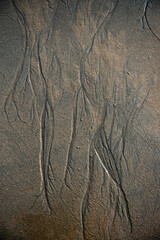 Seaside sand texture pattern