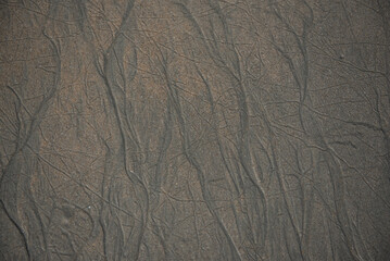 Seaside sand texture pattern