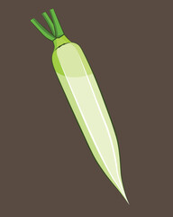 Illustration of a fresh radish