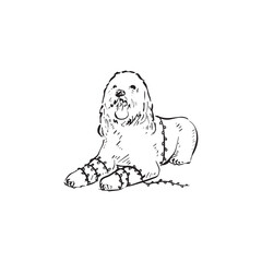 A labradoodle dog with fairy lights wrapped around its body and arms. Christmas or birthday dog. Drawn by hand in a sketchy style.