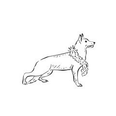 Fototapeta premium A German Shepherd dog wearing a feather boa. Black and white line drawing drawn by hand in a sketch style.