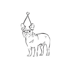 A pug drawn in black and white wearing a party hat. A cute illustration drawn by hand in a sketch style. 