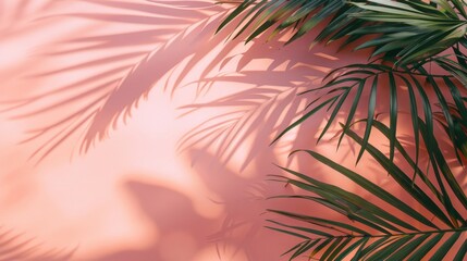 Palm tree leaves cast shadows on a pink background, creating a tropical and summery vibe.