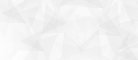 Abstract white and gray technology concept diamond irregular triangle geometric shape background. gradient vector art illustration. soft and trendy business template . futuristic concept background	
