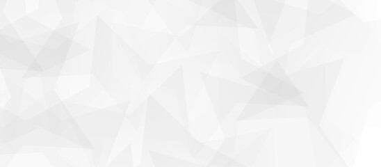 Abstract white and gray technology concept diamond irregular triangle geometric shape background. gradient vector art illustration. soft and trendy business template . futuristic concept background	
