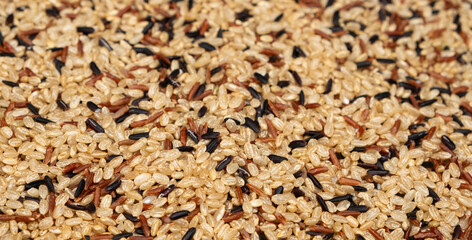 Mix of white, red and black rice, top view, close up