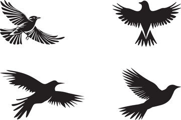 Flying birds vector image with illustration