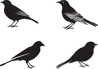 Birds silhouette vector bundle