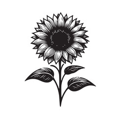 Sunflowers Silhouette vector illustration