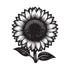 Sunflowers Silhouette vector illustration