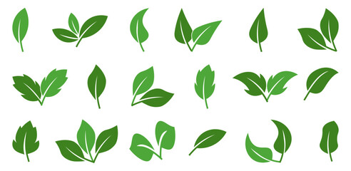 Green leafs. Set of green leaf. Fresh plant leaf collection