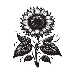 Sunflowers Silhouette vector illustration