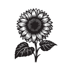 Sunflowers Silhouette vector illustration © MSTMIM
