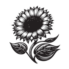Sunflowers Silhouette vector illustration