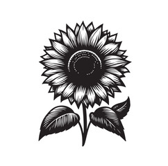 Fototapeta premium Sunflowers Silhouette vector illustration