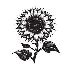 Sunflowers Silhouette vector illustration