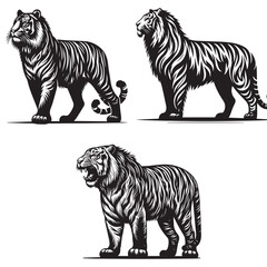 tiger silhouette ,tiger set  silhouette face , tiger set  silhouette tattoo, tiger silhouette logo ,tiger silhouette png