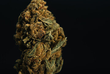 Gorilla Glue cannabis flowers