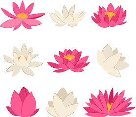 lotus flower set cartoon. blossom zen, waterlily chinese, pond watercolor lotus flower sign. isolated symbol vector illustration