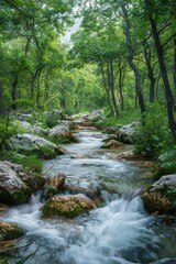 Obraz premium The stream flowing among rocks, lush forest, serene atmosphere,