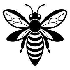 Bee Vector illustration