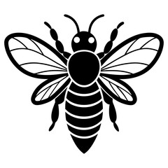 Bee Vector illustration