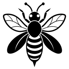 Bee Vector illustration