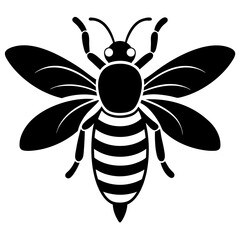 Bee Vector illustration