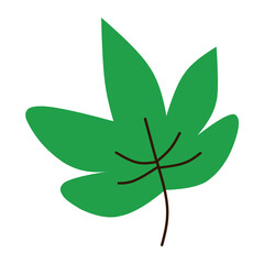 Flat Leaves Icon