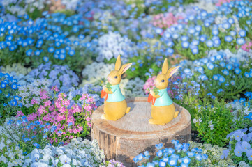 ピーターラビット 花畑
