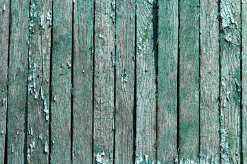 old peeling door background