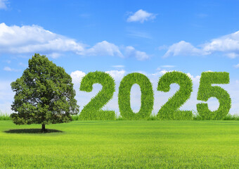 2025, en texture d'herbe sous le ciel bleu, écologie et environnement