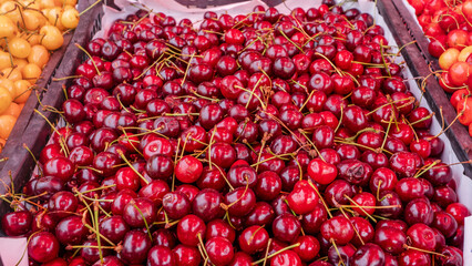 various fruits and berries sold by street vendors throughout Georgia.