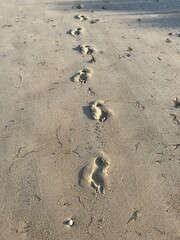 footprint