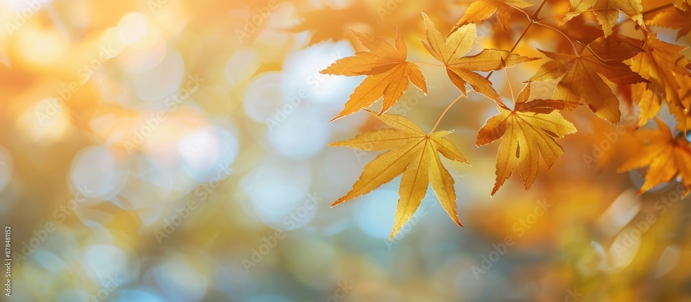 Poster Blurry background showcasing yellow maple leaves; fall-themed image with a focal point on maple leaves. Copy space included.