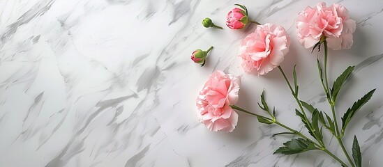 Elegant pink carnation on white marble table background, perfect for Mother's Day gift. Top view with flat lay presentation, ideal for a copy space image.