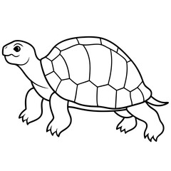 tortoise vector illustration