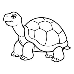tortoise vector illustration