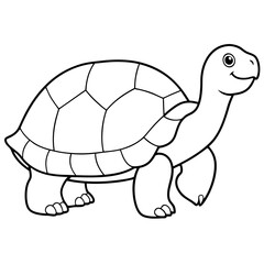 tortoise vector illustration