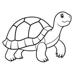 tortoise vector illustration