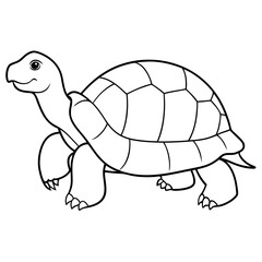 tortoise vector illustration