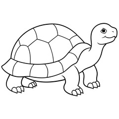 tortoise vector illustration