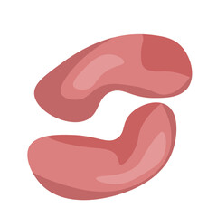 Beef kidneys, meat ingredient for cooking