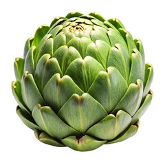 Obraz premium artichoke isolated on white background.