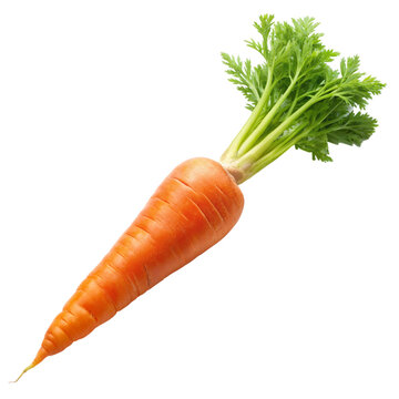 carrot isolated on white background.