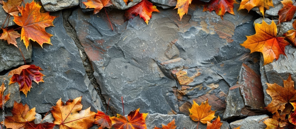 Poster Autumn leaves framing a stone background with a copy space image in the center.